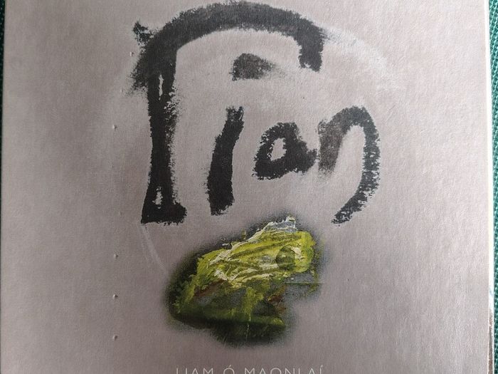Liam O Maonlai (Hothouse Flowers) - Rian CD (2005) Digipak Folk Pop EX+