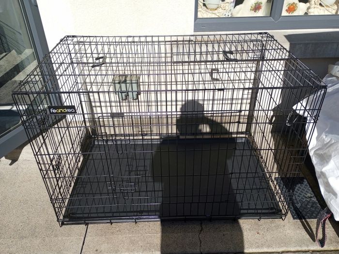 extra large dog travel crate