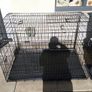 extra large dog travel crate Image 7