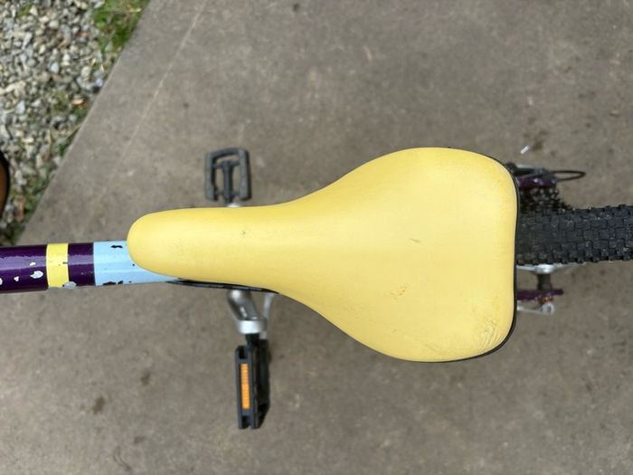 Raleigh Pop 26inch girls bike