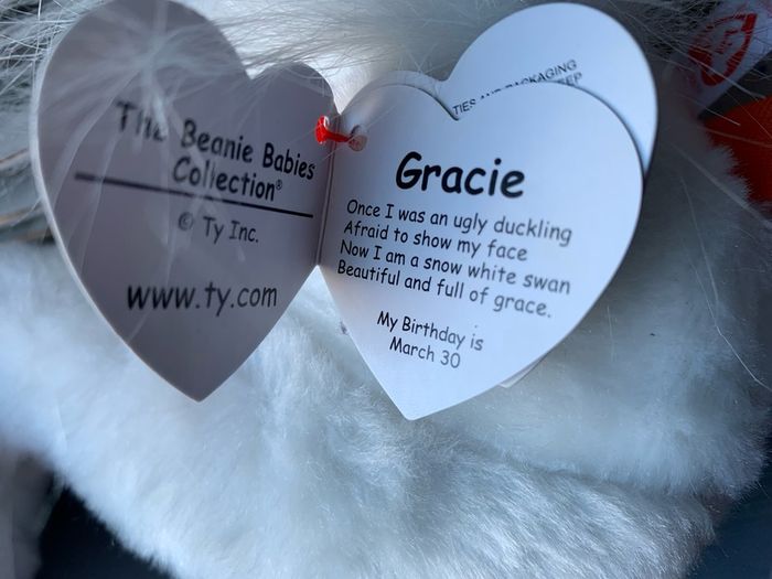Swan TY Gracie