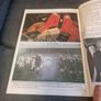 The Big Black Rugby Book  1990 Image 9