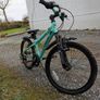 16" Team bike Image 2