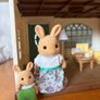 sylvanian Families - Wisteria Terrace Image 5