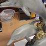 Dolphin ornament Image 2