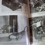 Enduring The Most/ The Life & Death of Terence MacSwiney / Francis J. Costello / 1st ed. 1995 Image 8