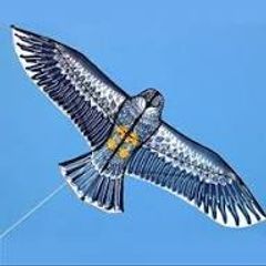 3  pack eagle1,2m kites