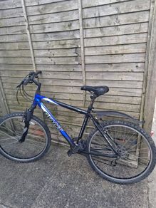 giant bike