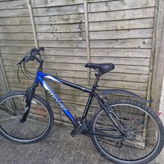 giant bike