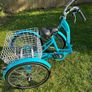 Trike Adult Image 6