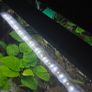 aquarium light aquasky fluval Image 7