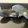 La Sportiva Miura VS 2025 Climbing Shoes EU43/UK9/27.6CM/USM10/USW11 Image 2
