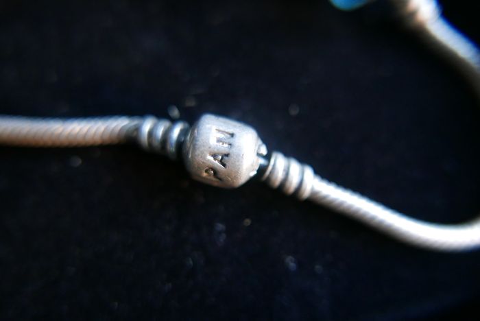 Authentic Pandora Charm Bracelet with 5 Charms Sterling Silver Designer Charm Bead Bracelet 14,5g