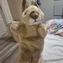 Hand Puppets. Bnwt Image 9