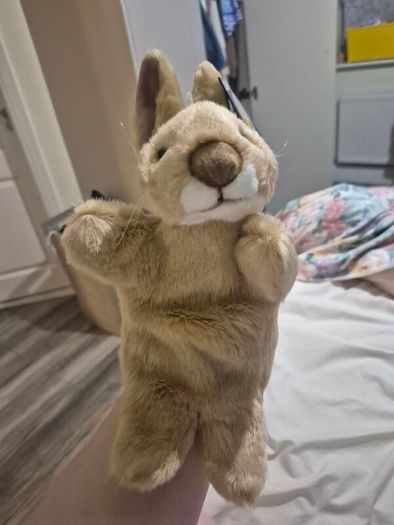 Hand Puppets. Bnwt