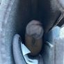 UGG boots girls kids size junior UK 5 / EU 22 brand new black high gloss Image 7