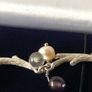 Silver Pearl Bracelet Image 7