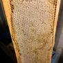 I Dont Have Runny Honey Image 9