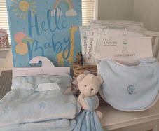 Baby boy bundle