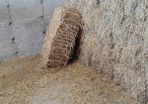Small Square Straw