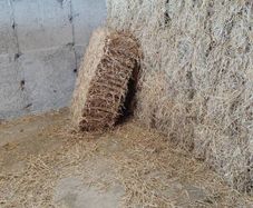 Small Square Straw