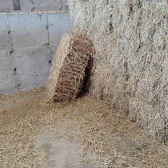 Small Square Straw