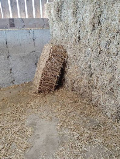 Small Square Straw