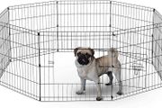 UNDERDOG 8 Panel Playpen Suitable for Dogs/Puppies/Cats &amp; Rabbits foldable ideal for Indoor/Outdoor use puppy play pen (61cm, Black)