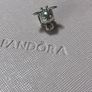 Pandora Bee Mine charm-brand new Image 3