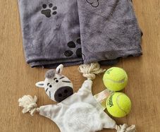 Dog Towels & Toys