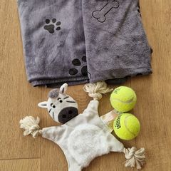 Dog Towels & Toys