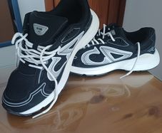 Dior Trainers
