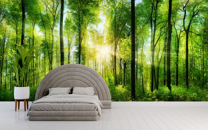 Non-woven Wall Mural / Photo Wallpaper