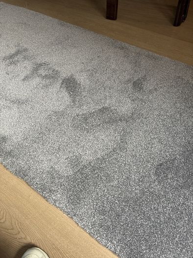 free carpet offcut new grey