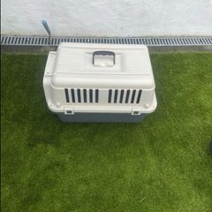 dog crate