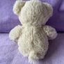 Play & Learn White & Cream Teddy Bear Image 2