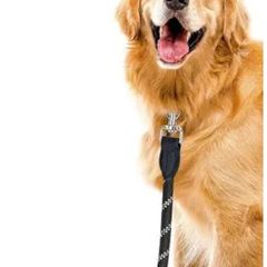 Dog walking available