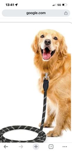 Dog walking available