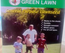 Lawn seed
