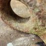 vintage iron hook Image 2