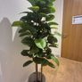 Artificial Plant Image 6