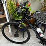 Trekking Bike 2021 Like New Image 5