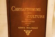 Chrysanthemums and their Culture by Edwin Molyneux Vintage Book from 1891