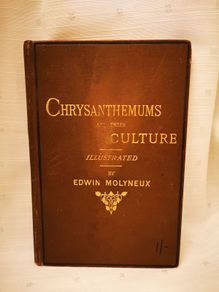 Chrysanthemums and their Culture by Edwin Molyneux Vintage Book from 1891