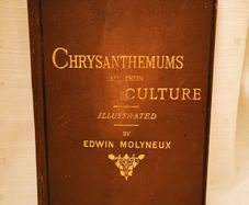 Chrysanthemums and their Culture by Edwin Molyneux Vintage Book from 1891