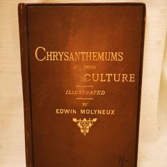 Chrysanthemums and their Culture by Edwin Molyneux Vintage Book from 1891
