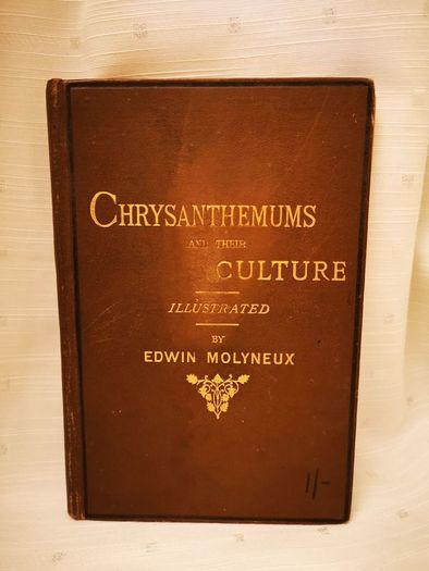 Chrysanthemums and their Culture by Edwin Molyneux Vintage Book from 1891