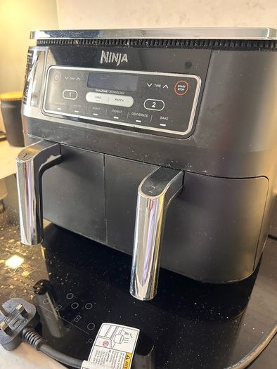 Ninja dual air fryer