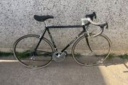 Ribble