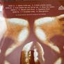Paul Johnson - Feel the music 12" vinyl Image 4